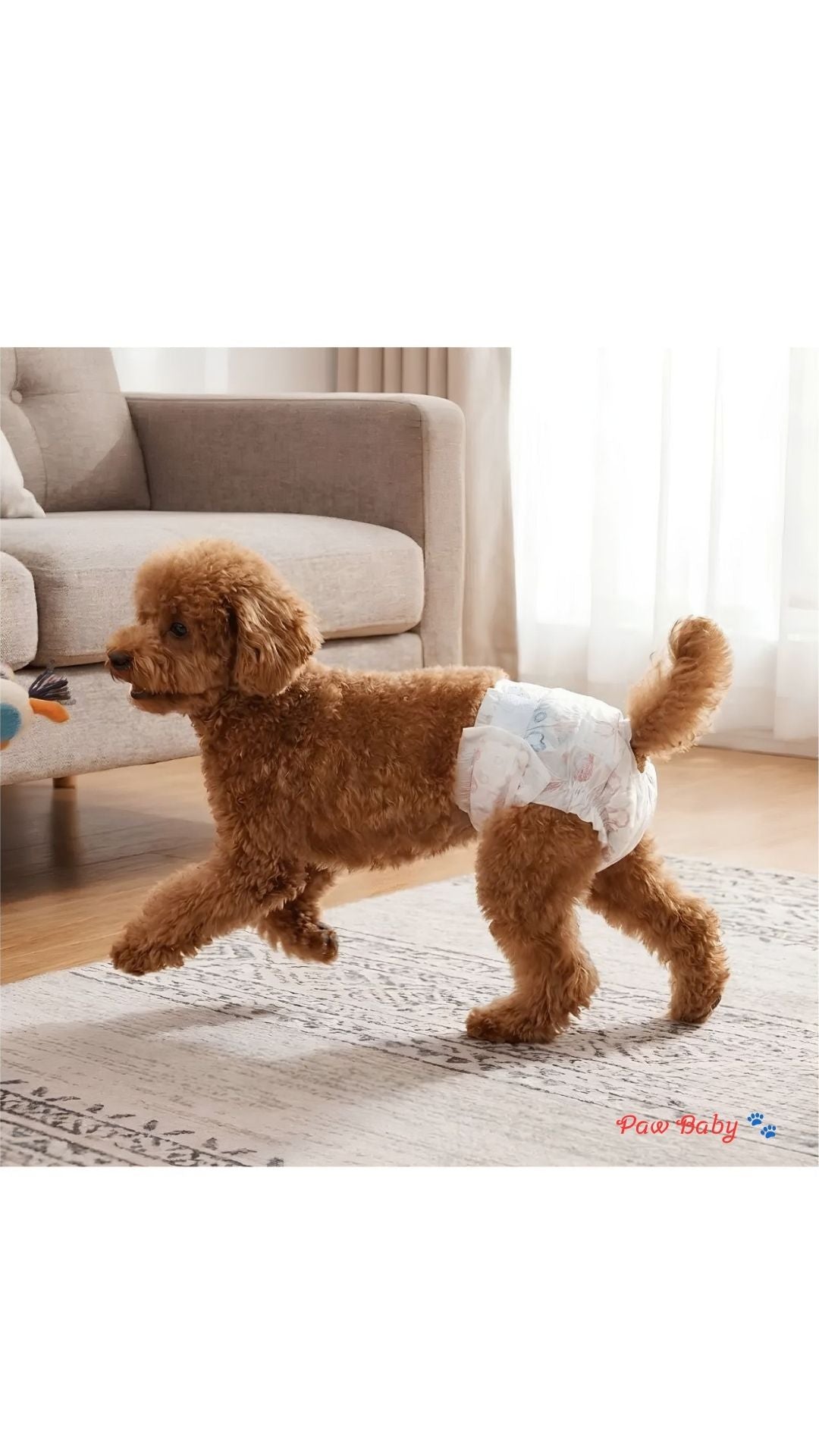 10 Pcs Super Absorbent Female Dog Diapers – Breathable & Adjustable Disposable Puppy Nappies with Cute Cartoon Prints