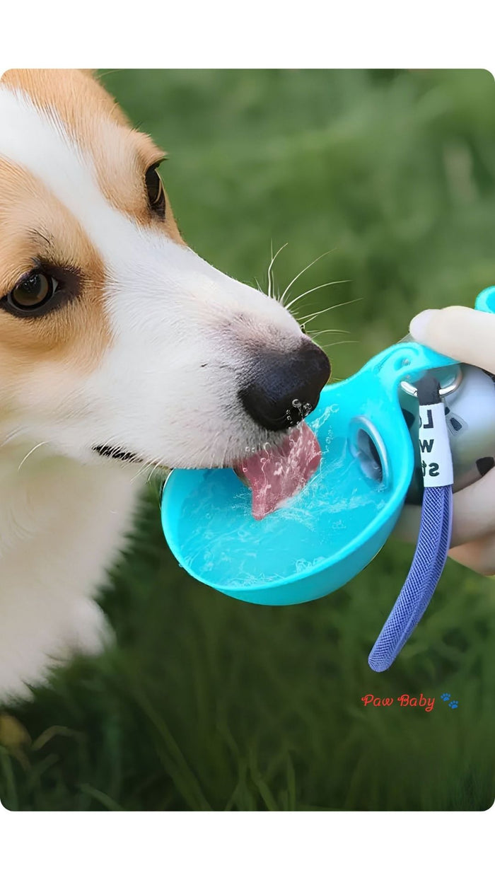 Leak-Proof 285ml Travel Dog Water Bottle with Detachable Silicone Bowl
